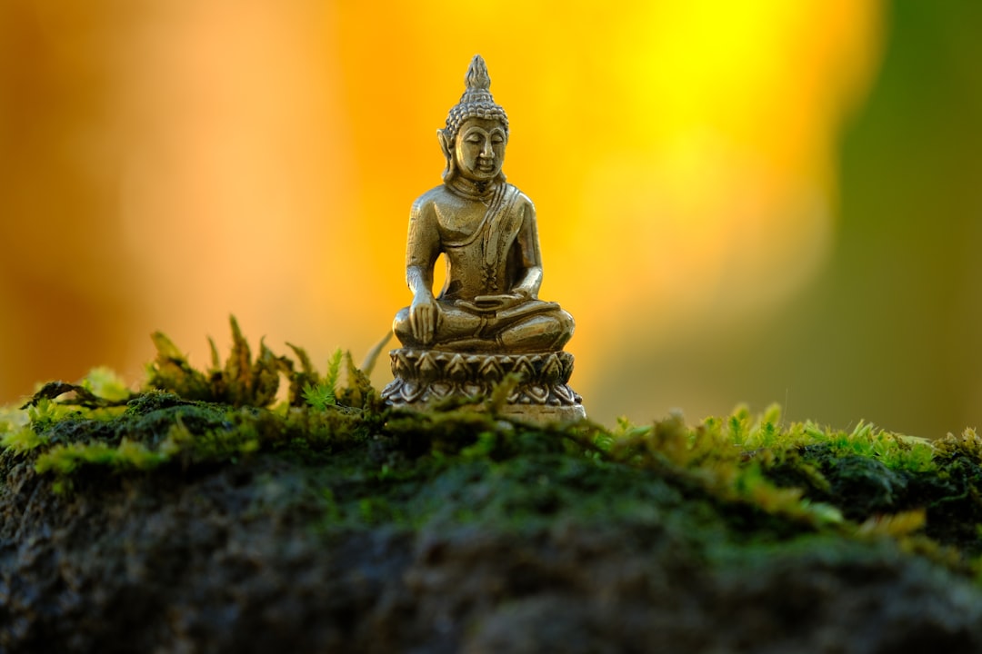 a-small-buddha-statue-sitting-on-top-of-a-moss-covered-rock-tga4rrmn0u8
