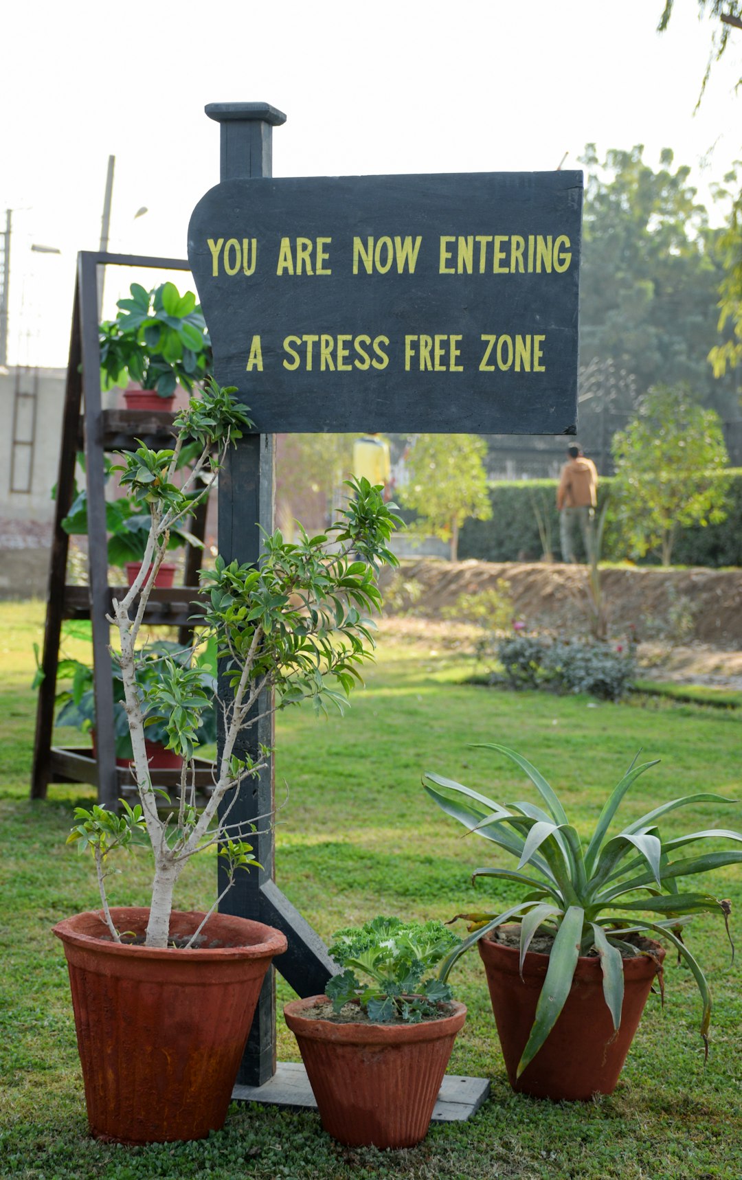 A Signboard in the middle of green plants.